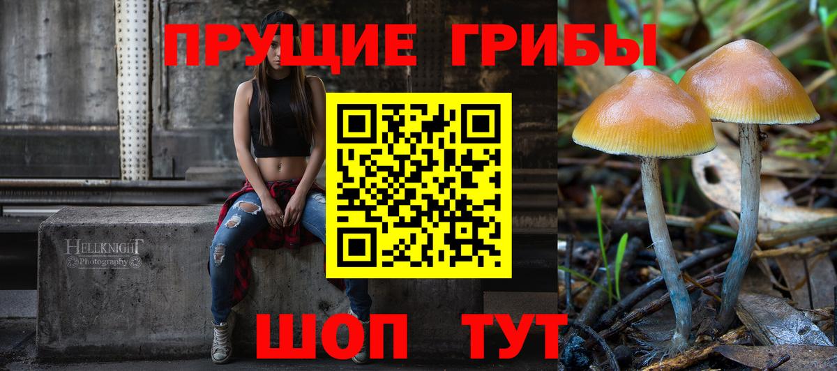 Галлюциногенные грибы MAGIC MUSHROOMS  Вход с VPN  Шарыпово 